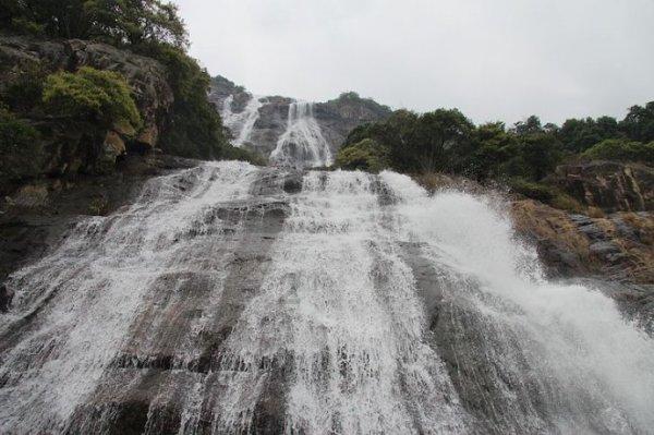 春雨直播app