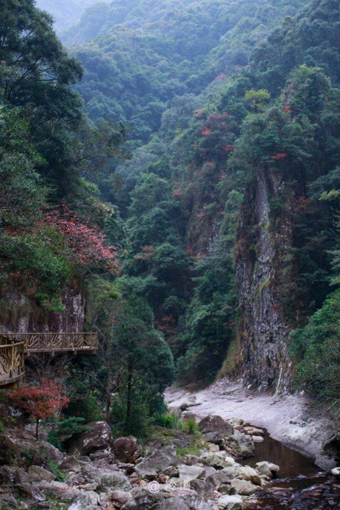 动物帮帮忙保卫家园